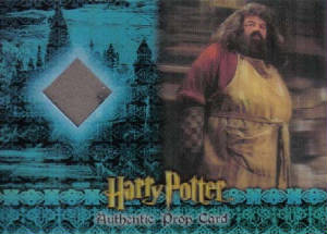 3d_p3_ashes_from_hagrids_hut_028-125.jpg