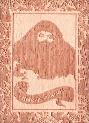 hbpu_bt3_rubeus_hagrid.jpg