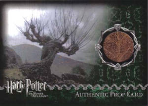 poau_whomping_willow_082-172.jpg