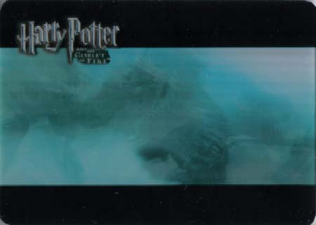 gof_case_card_dragon_chasing_harry.jpg
